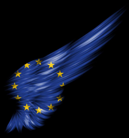 European Union wing graphic